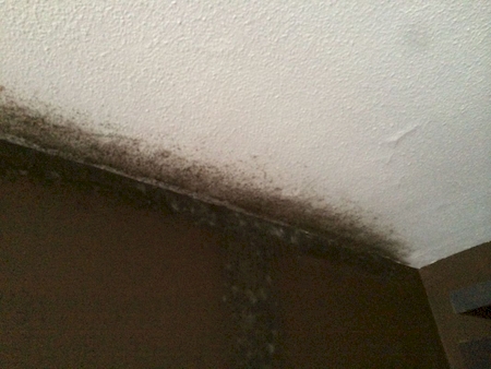 Notre zone d'activité pour ce service Devis appareil anti humidité pour mur sans travaux